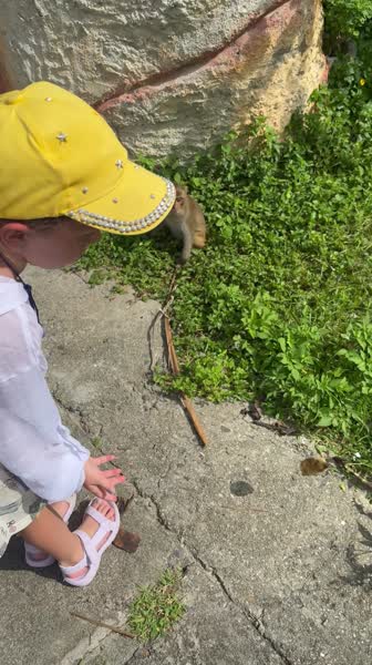 видео из отзыва ID 2743781