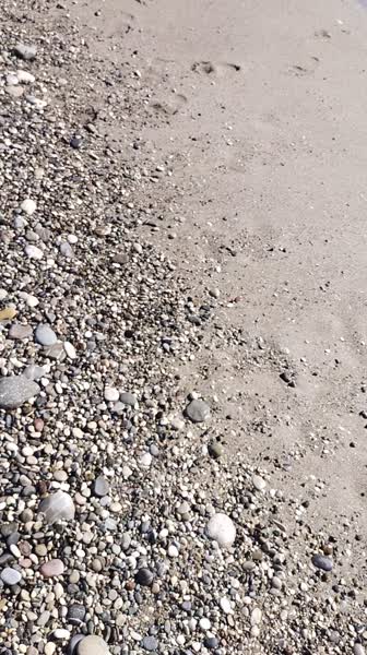 видео из отзыва ID 2743887