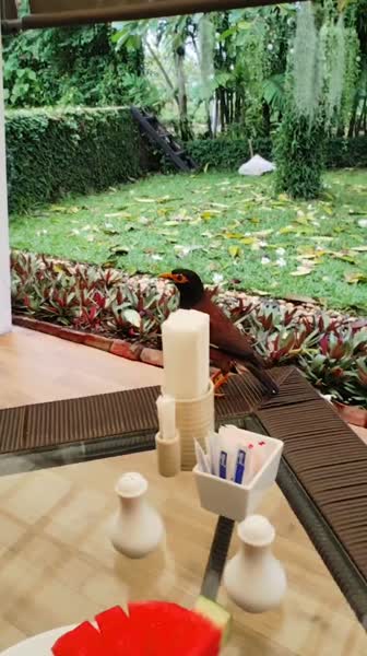 видео из отзыва ID 2744207