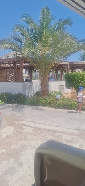 видео из отзыва ID 2744249