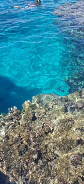 видео из отзыва ID 2744249