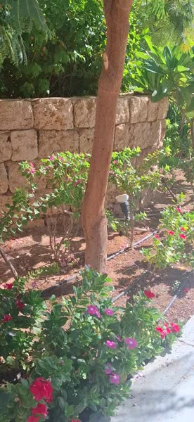 видео из отзыва ID 2744249