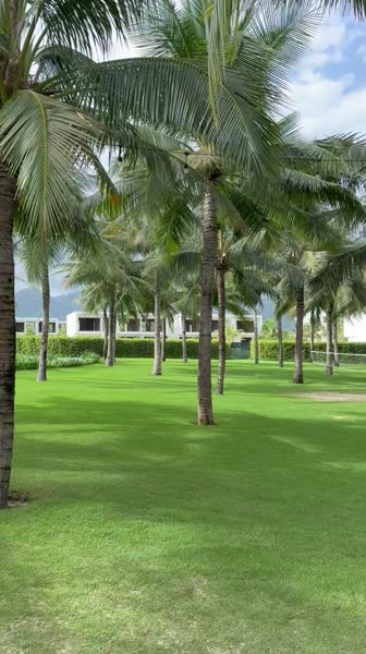 видео из отзыва ID 2744434