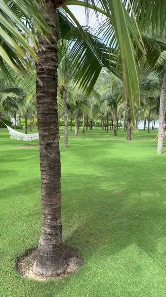 видео из отзыва ID 2744434