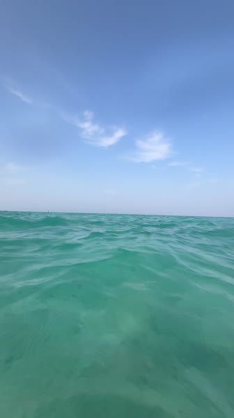 видео из отзыва ID 2744324