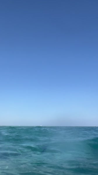 видео из отзыва ID 2744324