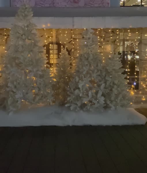 Видео из отеля Сочи Парк Отель 3*