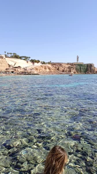 видео из отзыва ID 2744661