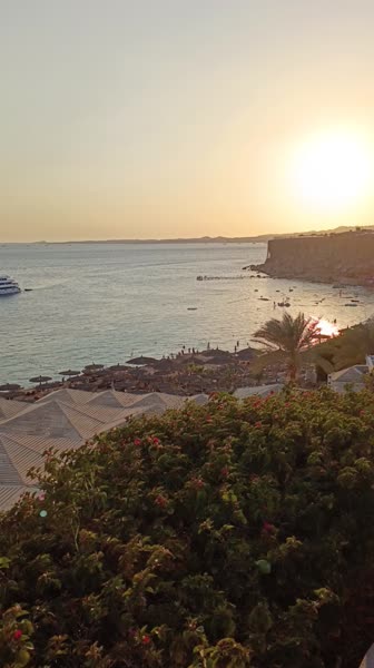 видео из отзыва ID 2744661