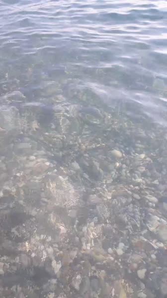 видео из отзыва ID 2743541