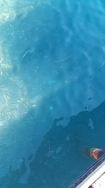 видео из отзыва ID 2743541