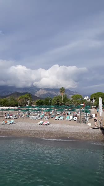 Видео из отеля Pine House by Werde Hotels 4*