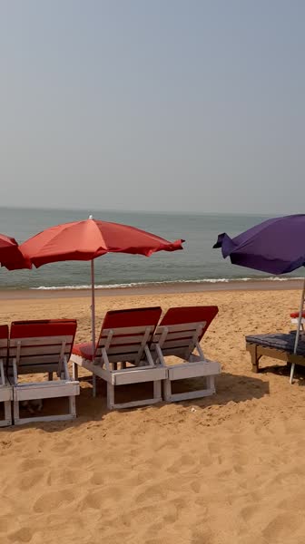 видео из отзыва ID 2745016