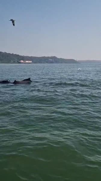 Видео из отеля