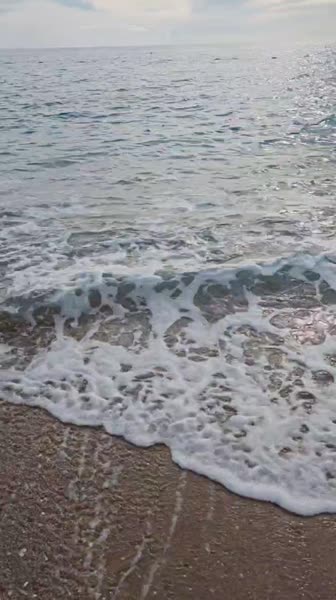 видео из отзыва ID 2745098