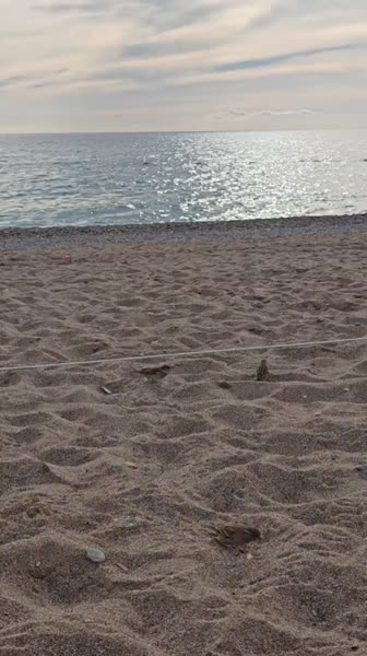 видео из отзыва ID 2745098