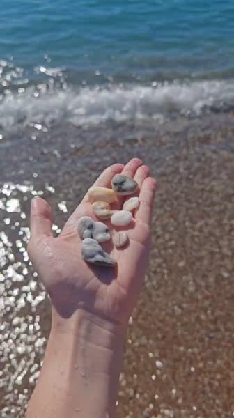 видео из отзыва ID 2745098