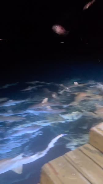 видео из отзыва ID 2745215