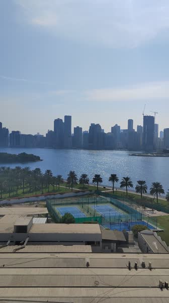 видео из отзыва ID 2745310