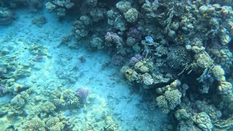 Видео из отеля