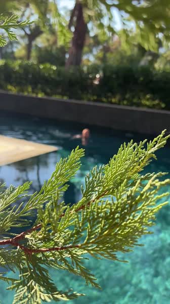 видео из отзыва ID 2745339