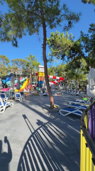 видео из отзыва ID 2745339