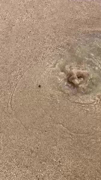 видео из отзыва ID 2744736