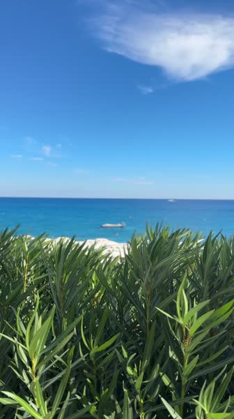 видео из отзыва ID 2745339