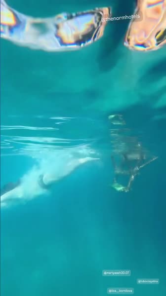 видео из отзыва ID 2745339