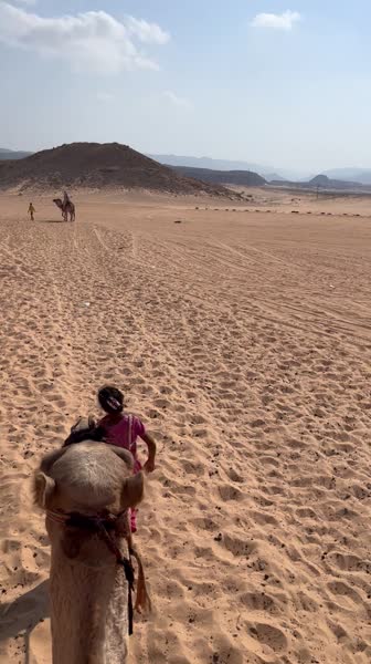 Видео из отеля