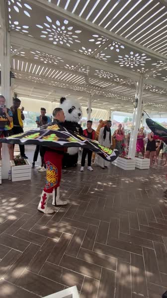 видео из отзыва ID 2745455