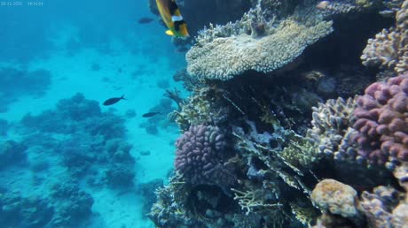 Видео из отеля