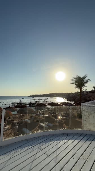 видео из отзыва ID 2745486