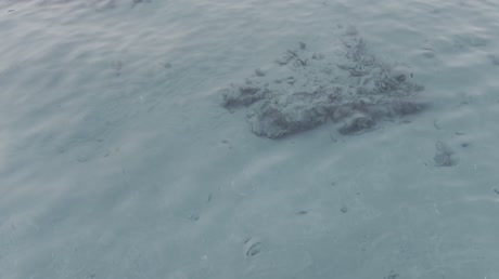 видео из отзыва ID 2745545