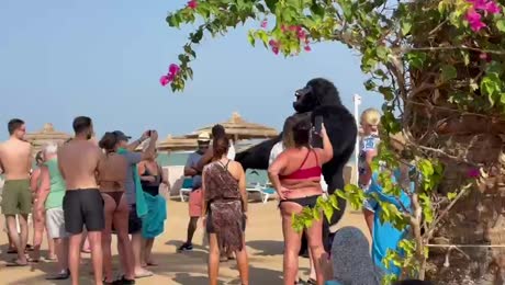 Видео из отеля