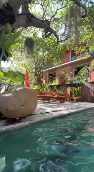 видео из отзыва ID 2745579