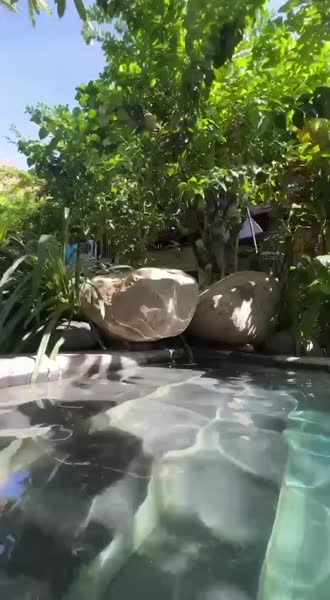 видео из отзыва ID 2745579