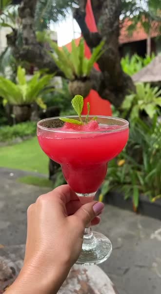 видео из отзыва ID 2745579