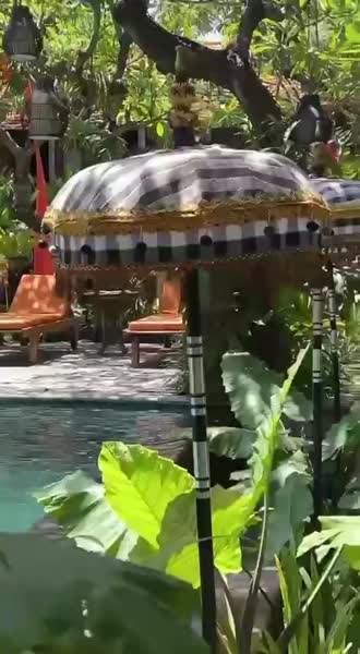 видео из отзыва ID 2745579