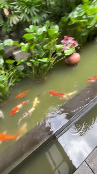 Видео из отеля