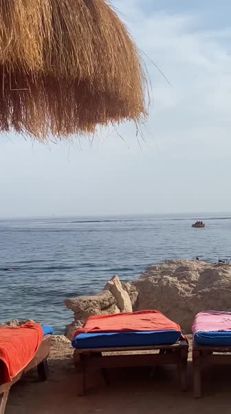 видео из отзыва ID 2745655