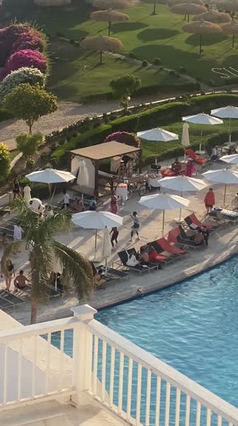 видео из отзыва ID 2745655