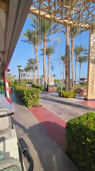 видео из отзыва ID 2745705