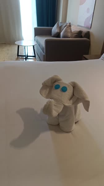 видео из отзыва ID 2745761