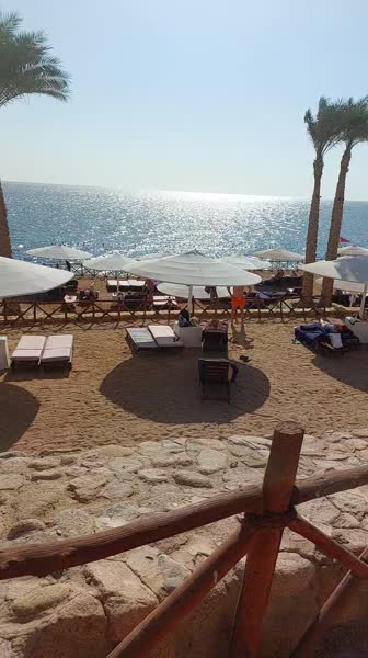 видео из отзыва ID 2745900