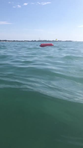 видео из отзыва ID 2745914