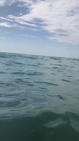 видео из отзыва ID 2745914