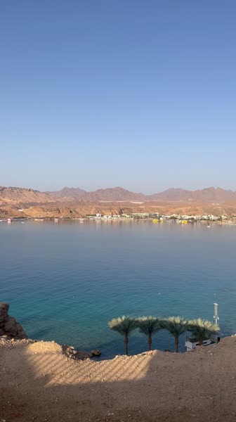 видео из отзыва ID 2746012