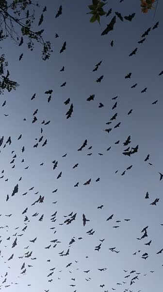 Видео из отеля