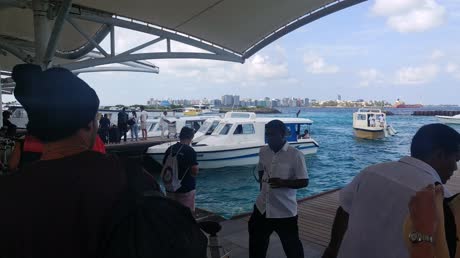 видео из отзыва ID 2746234